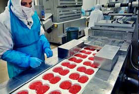 INICIOS DE LA ALIMENTACION inicios de la alimentacion: